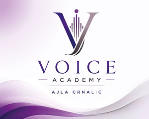 Logo The Voice on Stage